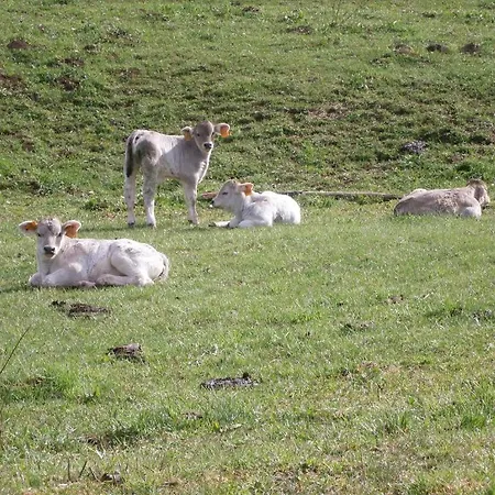 Turisme Rural Lo Pallé De Cal Bosch Llagunes